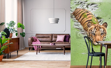 Visualisatie van het product