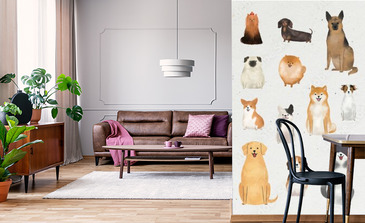 Visualisatie van het product