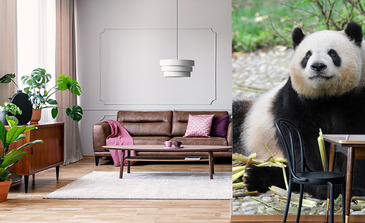 Visualisatie van het product