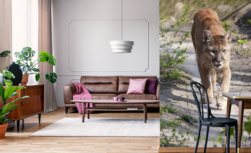 Visualisatie van het product