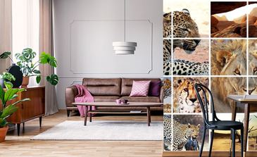 Visualisatie van het product