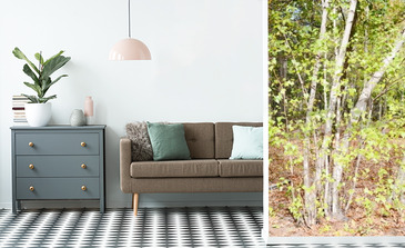 Visualisatie van het product