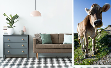 Visualisatie van het product