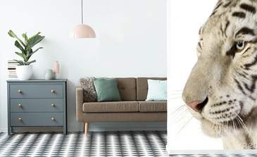 Visualisatie van het product