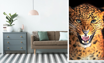 Visualisatie van het product