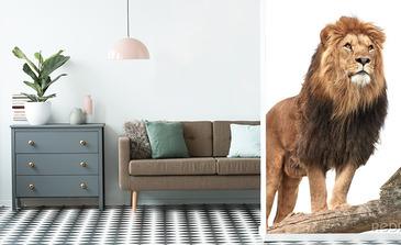 Visualisatie van het product