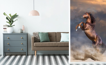 Visualisatie van het product