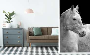 Visualisatie van het product