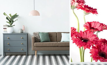 Visualisatie van het product