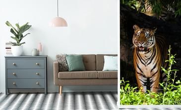 Visualisatie van het product