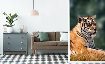 Visualisatie van het product