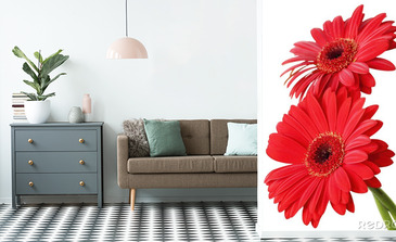 Visualisatie van het product