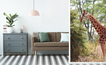 Visualisatie van het product