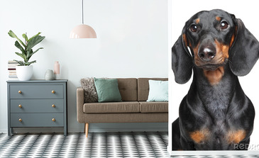 Visualisatie van het product