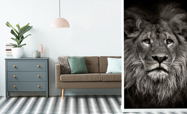 Visualisatie van het product