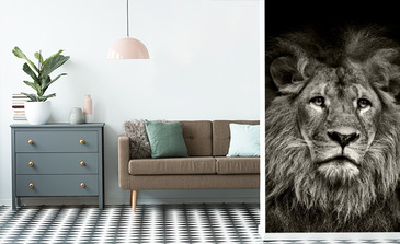 Visualisatie van het product