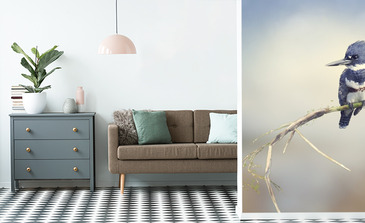 Visualisatie van het product