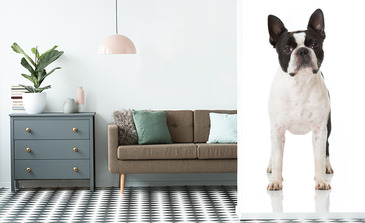 Visualisatie van het product