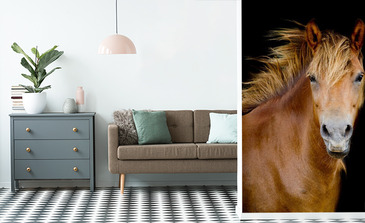 Visualisatie van het product