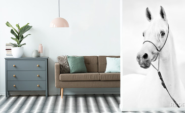 Visualisatie van het product