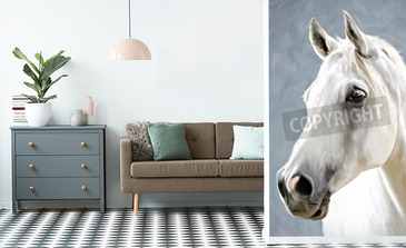 Visualisatie van het product