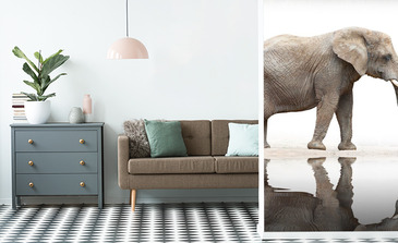 Visualisatie van het product