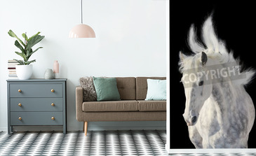 Visualisatie van het product