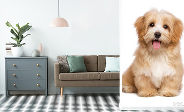 Visualisatie van het product