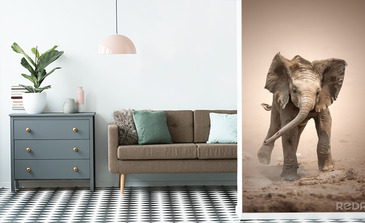 Visualisatie van het product