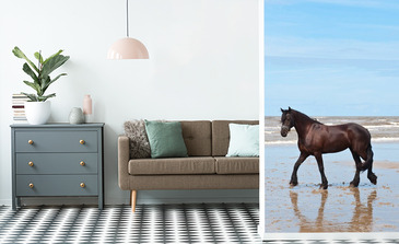 Visualisatie van het product