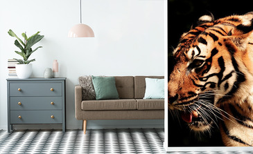 Visualisatie van het product