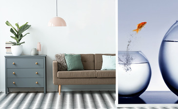 Visualisatie van het product