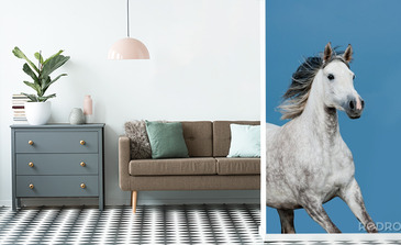 Visualisatie van het product