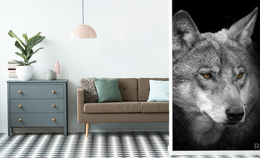 Visualisatie van het product