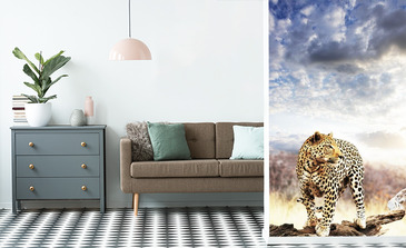 Visualisatie van het product