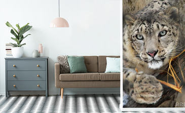 Visualisatie van het product