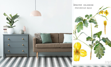 Visualisatie van het product