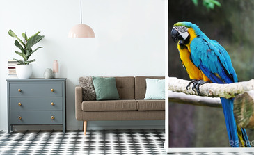 Visualisatie van het product