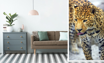 Visualisatie van het product