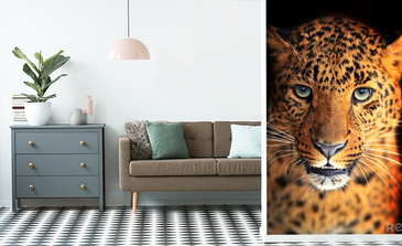 Visualisatie van het product