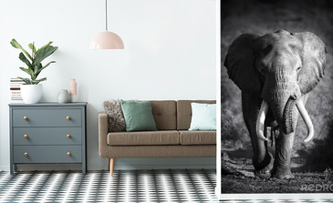 Visualisatie van het product