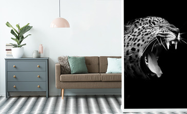 Visualisatie van het product