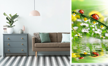 Visualisatie van het product