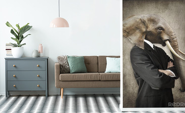 Visualisatie van het product