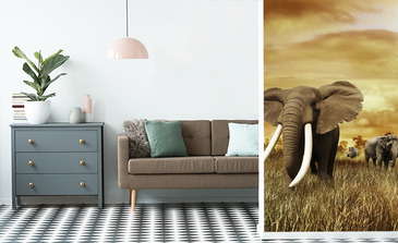 Visualisatie van het product