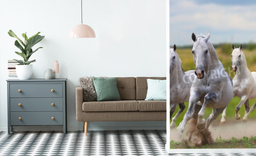 Visualisatie van het product