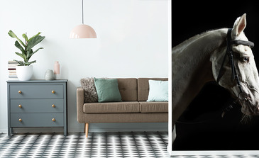 Visualisatie van het product