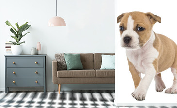 Visualisatie van het product