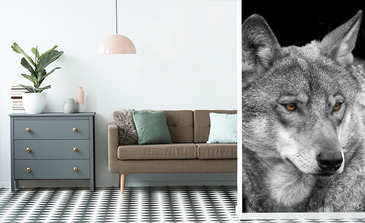 Visualisatie van het product