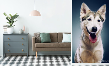 Visualisatie van het product